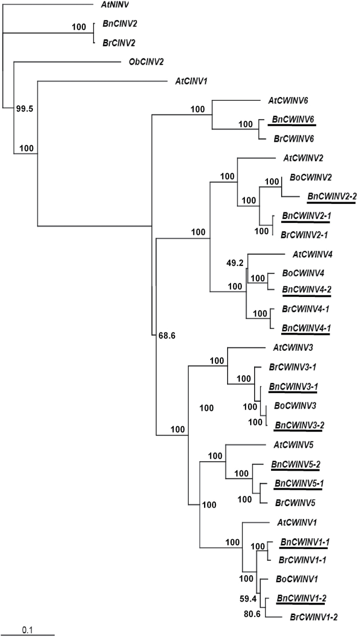 Fig. 5.