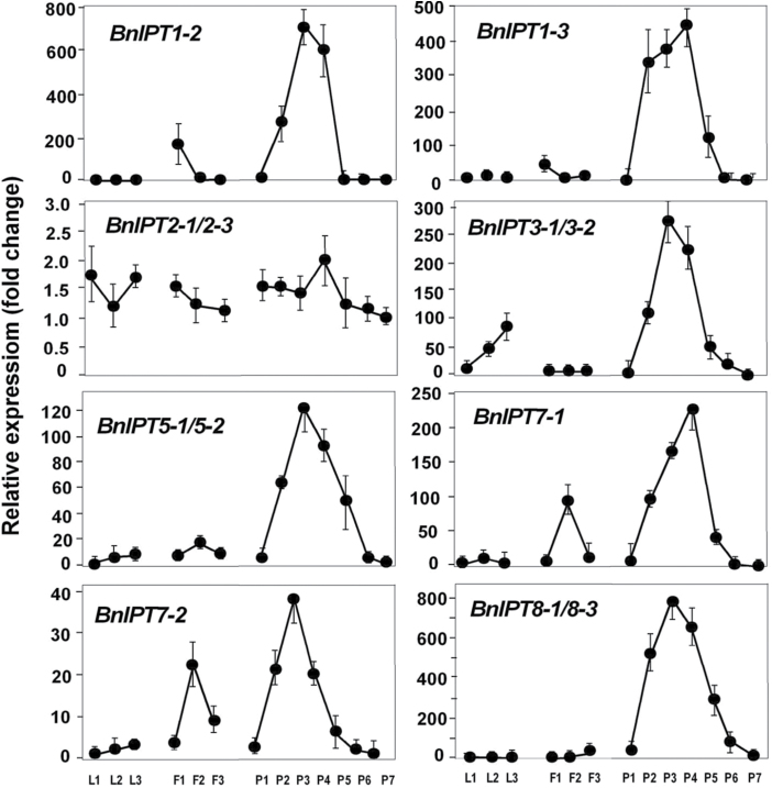 Fig. 7.