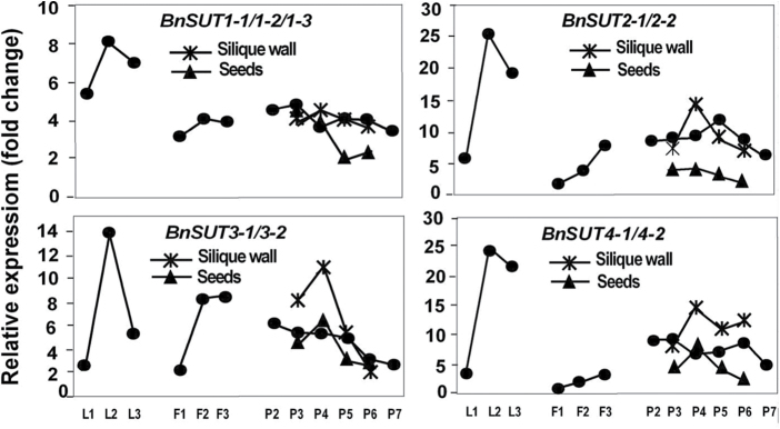 Fig. 9.