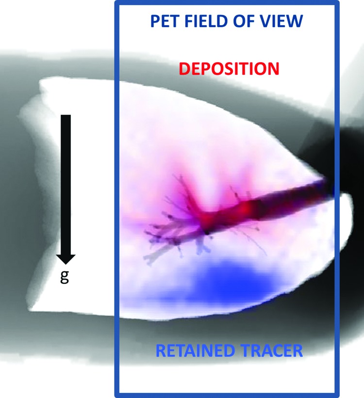 FIG. 13.