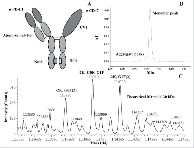 Figure 2.