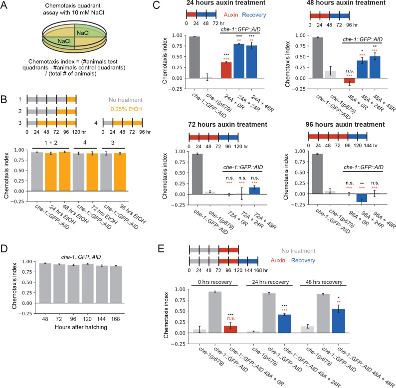 Figure 1—figure supplement 2.