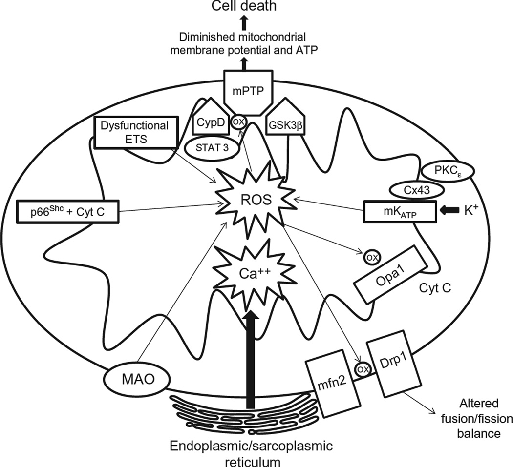 Figure 6.5