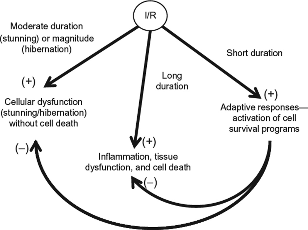 Figure 6.3