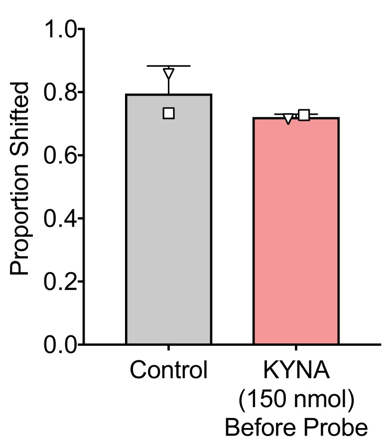 Figure 2—figure supplement 1.