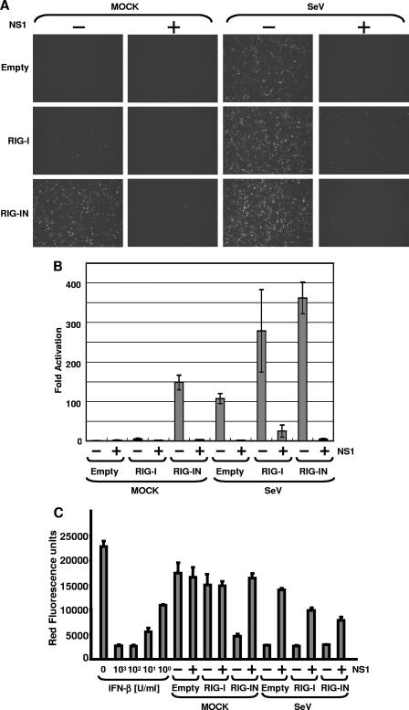 FIG. 2.