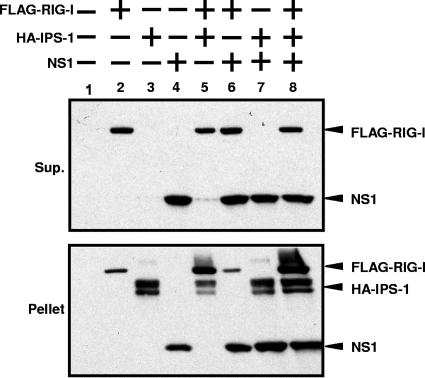 FIG. 6.