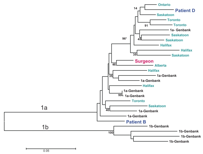 Figure 1)