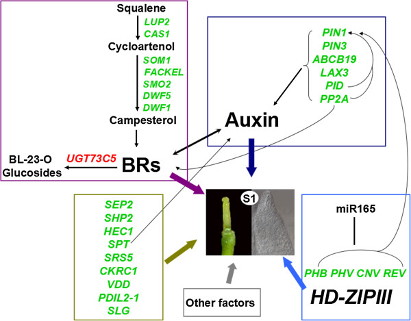 Figure 7