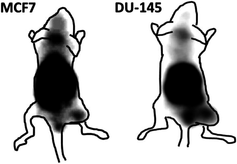 Fig. 8