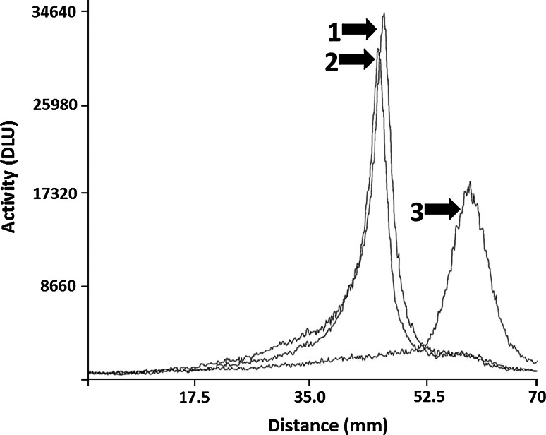 Fig. 2