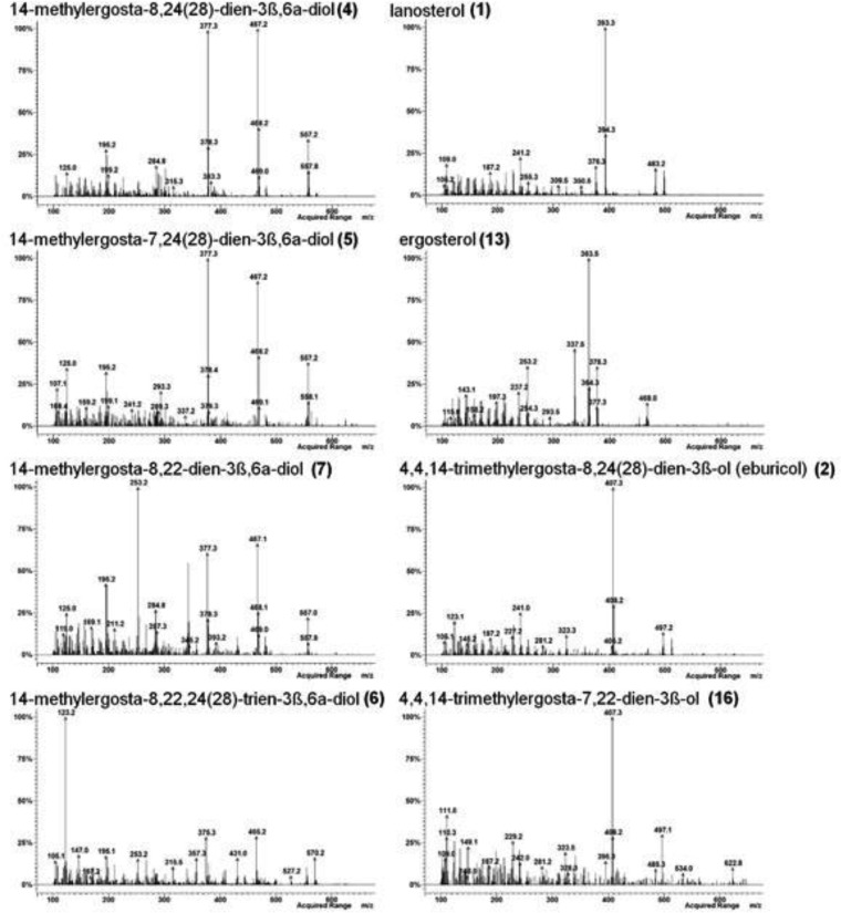 FIG 3