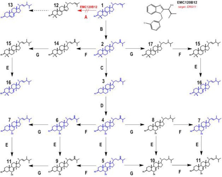 FIG 2