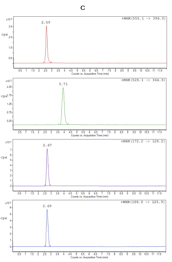 Figure 2C. 