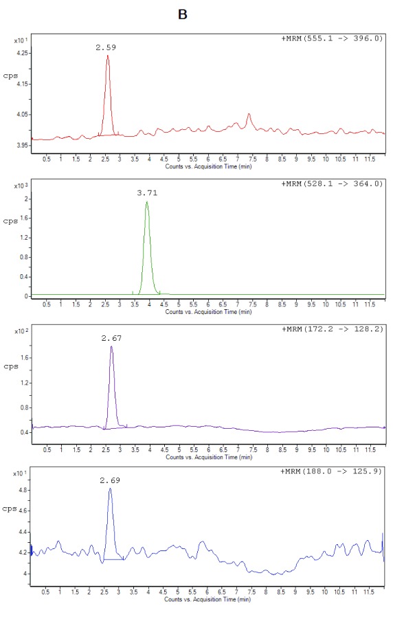 Figure 2B. 