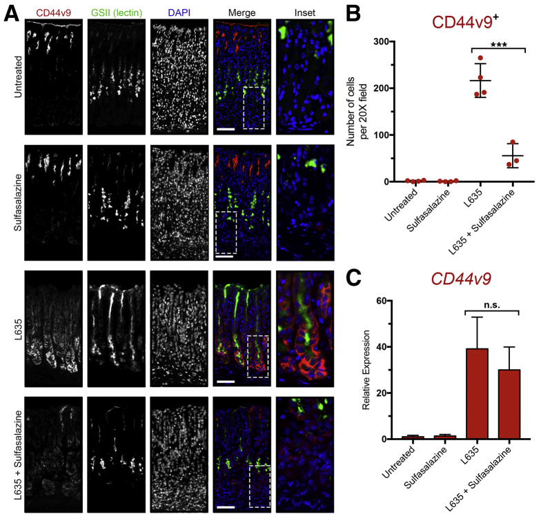 Figure 13