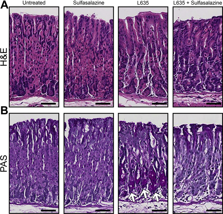 Figure 7