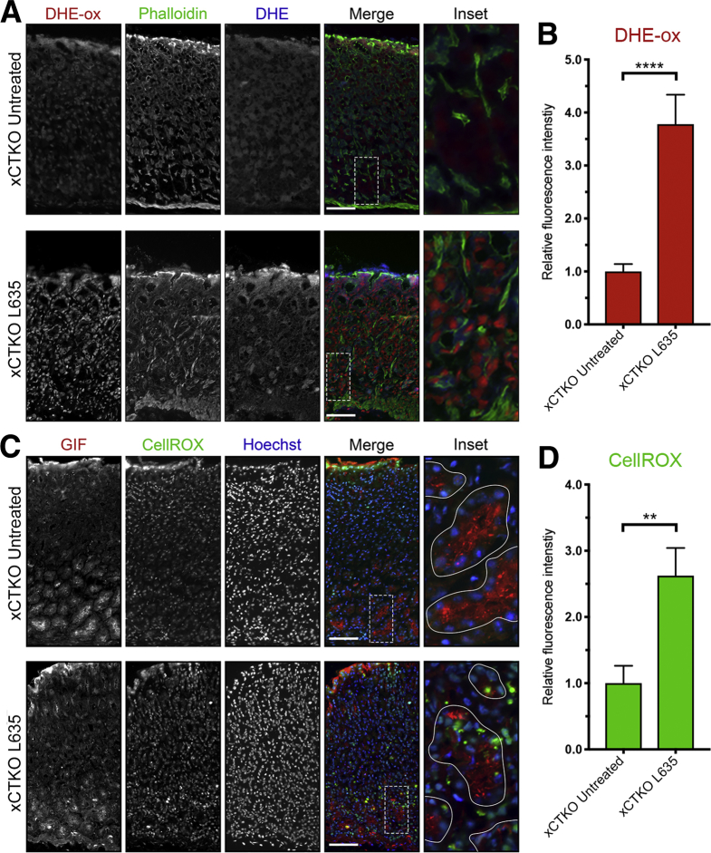 Figure 16