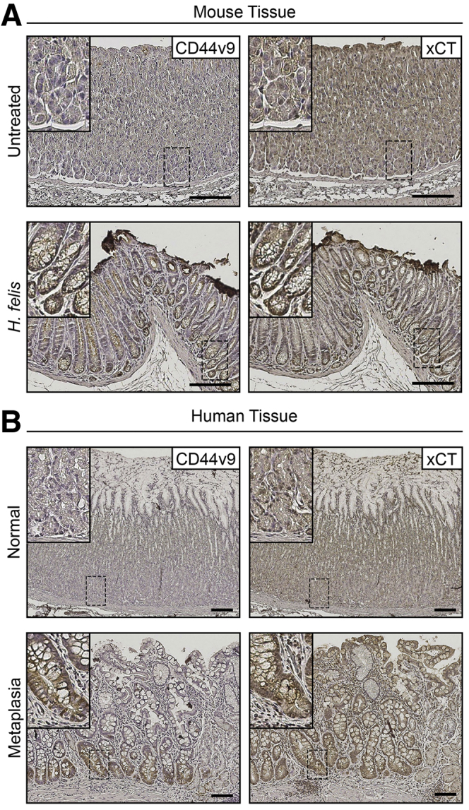 Figure 21