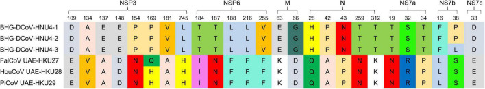 FIGURE 3