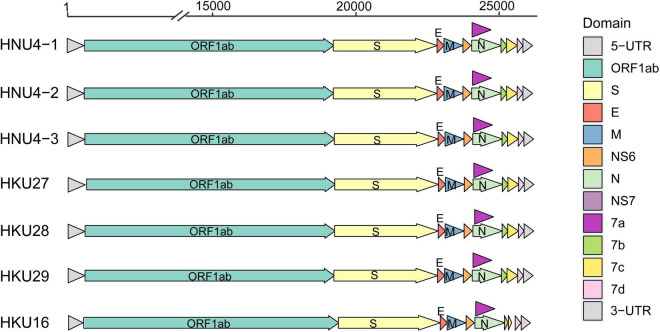 FIGURE 2