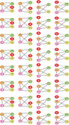 Figure 5—figure supplement 5.