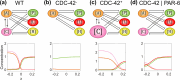 Figure 5—figure supplement 3.