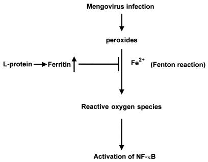 FIG. 7.