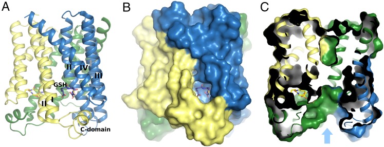 Fig. 1.