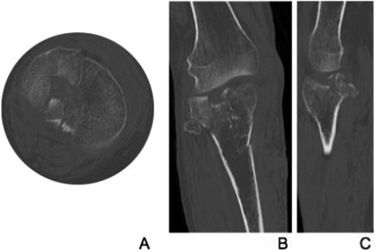 Figure 1.