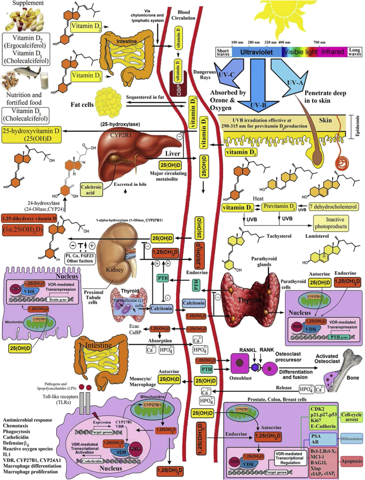 Figure 1