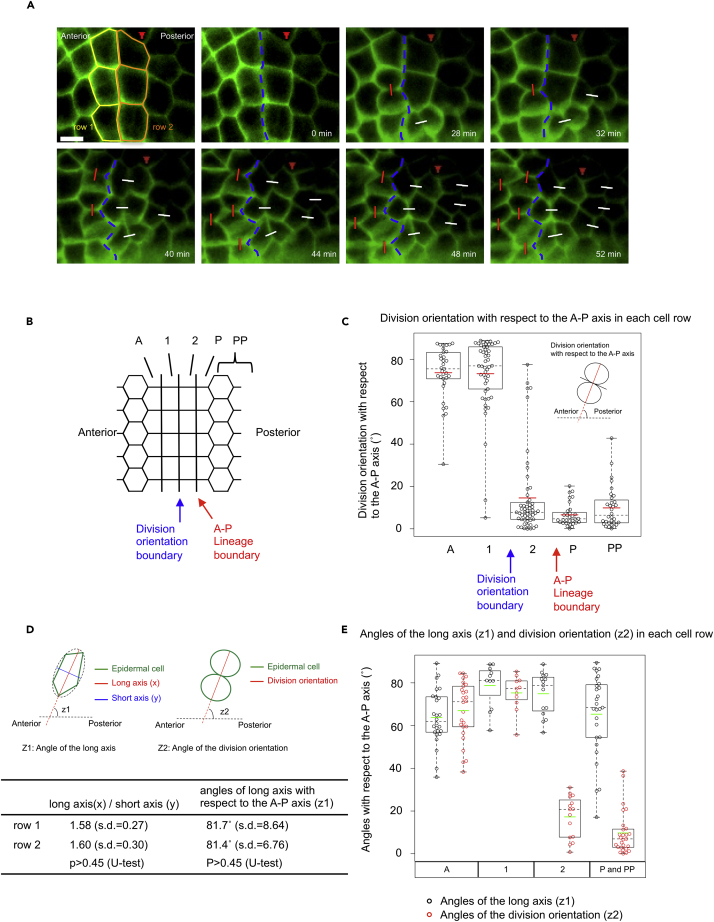 Figure 2