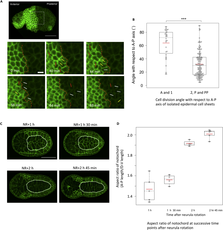 Figure 6