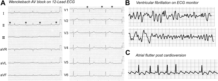 Figure 1