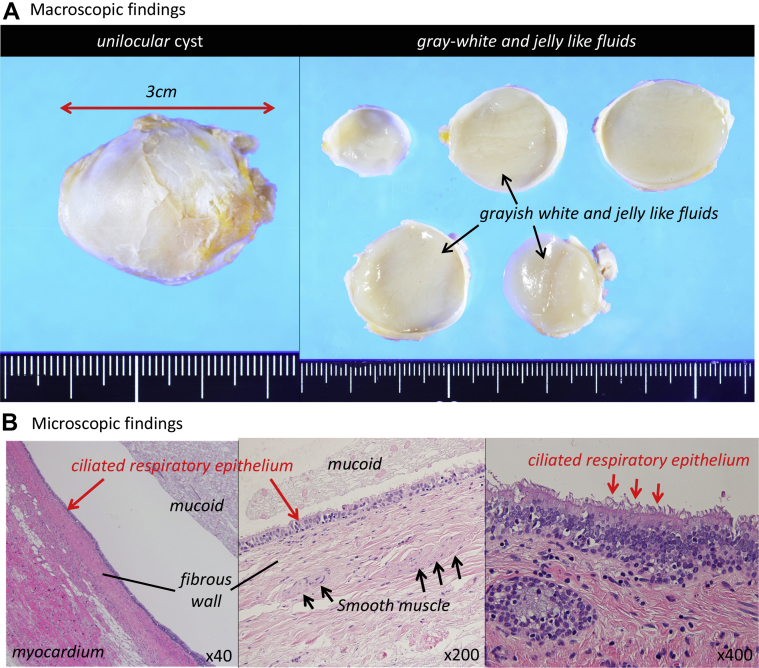 Figure 3