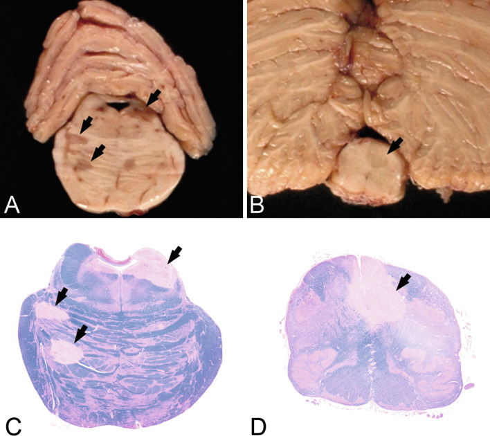 Fig. 19.3