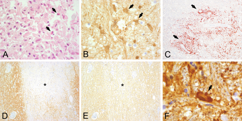 Fig. 19.9