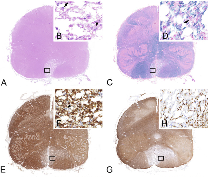 Fig. 19.10