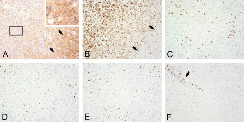 Fig. 19.4