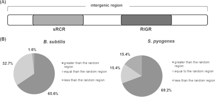 FIG 5