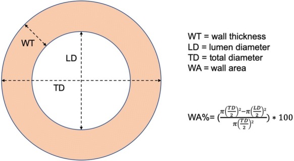 Fig. 1