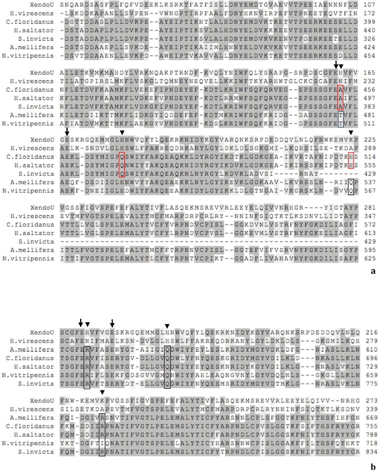 Supplementary Fig. 6