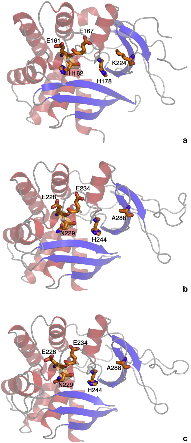 Fig.1