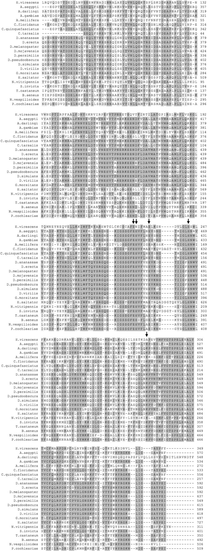 Supplementary Fig. 3