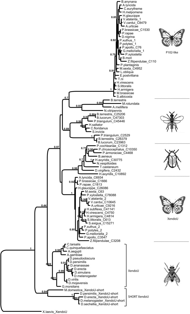 Supplementary Fig. 5