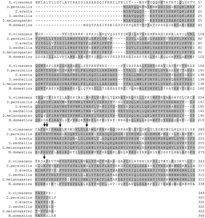 Supplementary Fig. 4