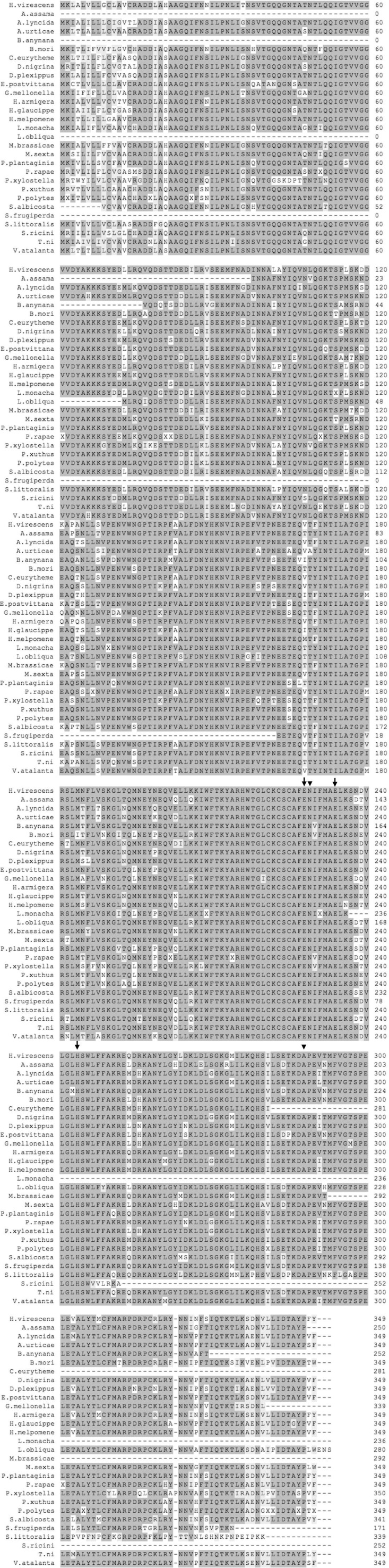 Supplementary Fig. 2