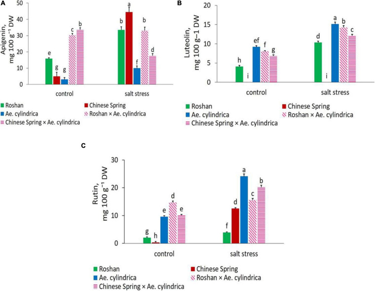 FIGURE 4