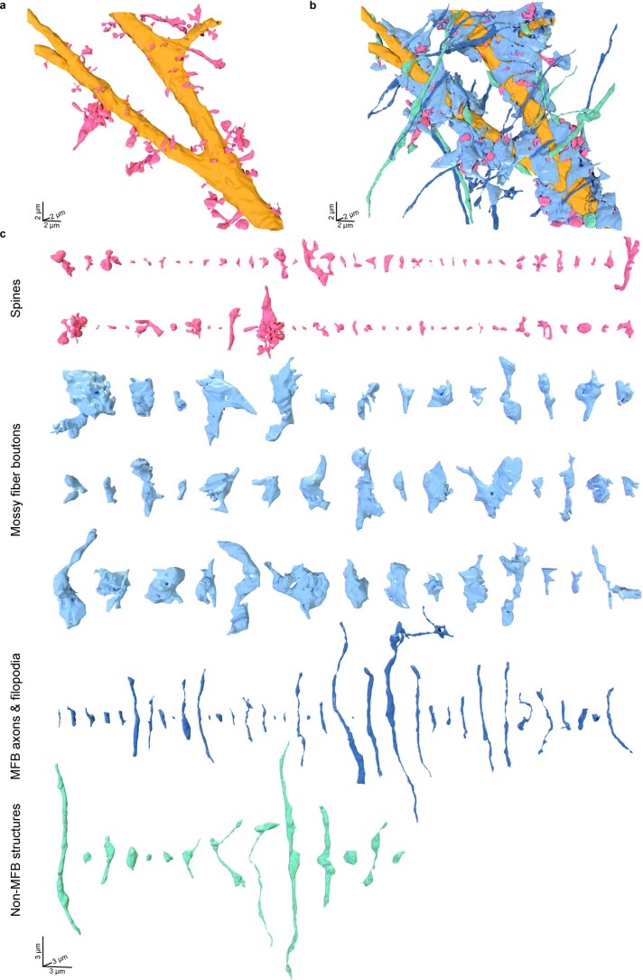 Extended Data Fig. 5