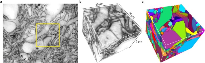 Extended Data Fig. 10